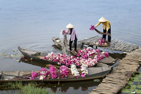 Splendeurs du Vietnam 12J/9N - 2024 Voyages & Loisirs